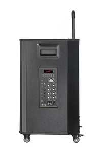 NDR-415 Enceinte sur chariot double 15 pouces 12V12A 100W pour fêtes en extérieur et usage domestique, avec USB, TWS, connexion sans fil, NDR-415, grande puissance, woofer - Product Image 6