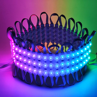 Nouveau module adressable haute luminosité 4 lignes 75*15mm IP65 pour la fabrication de boîtes lumineuses publicitaires et de signalétique