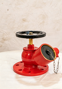Hydrant en fonte et sprinkler d'incendie : Équipement de lutte contre l'incendie intérieur avec accessoire de protection incendie à réduction de pression - Product Image 4