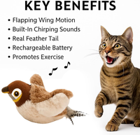 Vente en gros usine Nouveaux jouets pour chats interactifs intelligents, avec ailes battantes activées par le toucher, effet d'oiseau, rechargeables USB, pour l'exercice des animaux de compagnie