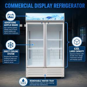 Vitrine Réfrigérée Commerciale sur Pied pour Boissons, Réfrigérateur à Double Porte Vitrée, Faible Niveau Sonore, pour Red Bull - Product Image 3