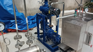 Nhỏ thô cọ đậu nành nhỏ dừa nhà máy Lọc dầu máy cho lọc/Chế biến hướng dương, mù tạt, mè, lạc dầu ăn - Product Image 5