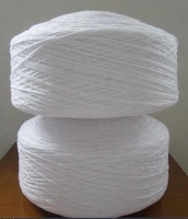 High Tenacity 0.9g/m PP Filter Yarn for Water Filter Cartridge Raw Pattern Open End Spinning China Manufacturer