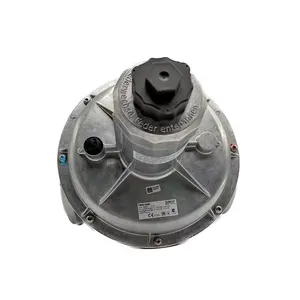 Dungs FRNG 5065 209068 DN65 gpl regolatore di pressione a basso Gas valvola di riduzione bruciatore regolatore di pressione aria compressa controllata