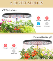 Système de culture hydroponique intelligent à 12 modules, avec éclairage LED, kit de jardinage intérieur – Vente chaude usine