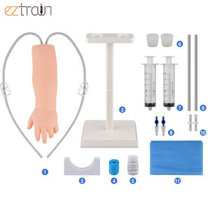 Kit de bras IV nouveau-né pour la ponction veineuse et la formation de phlébotomie modèle IV néonatal - Product Image 1