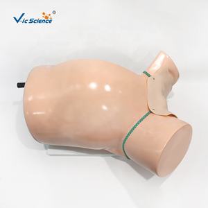 Modelo de <span class=keywords><strong>curso</strong></span> de entrega de Maniquí de enfermería para el mecanismo de enseñanza del Modelo de Educación de Ciencias Médicas de trabajo normal - Product Image 4