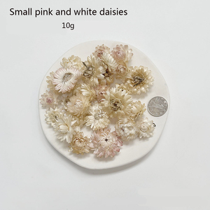 Natural Dried Fruits &amp; Flowers Galore: Unleash Your DIY <strong>Candle</strong> - Making Potential! - Product Image 4