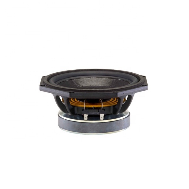 Special Price Speaker 8 Inch Loudspeaker B&C Sound System Speaker Unit