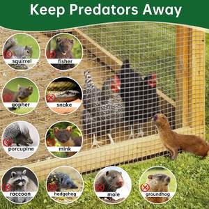 कस्टम आकार लचीला और खरगोश के लिए वेल्डेड वायर जाल रोल स्थापित करने में आसान - Product Image 4