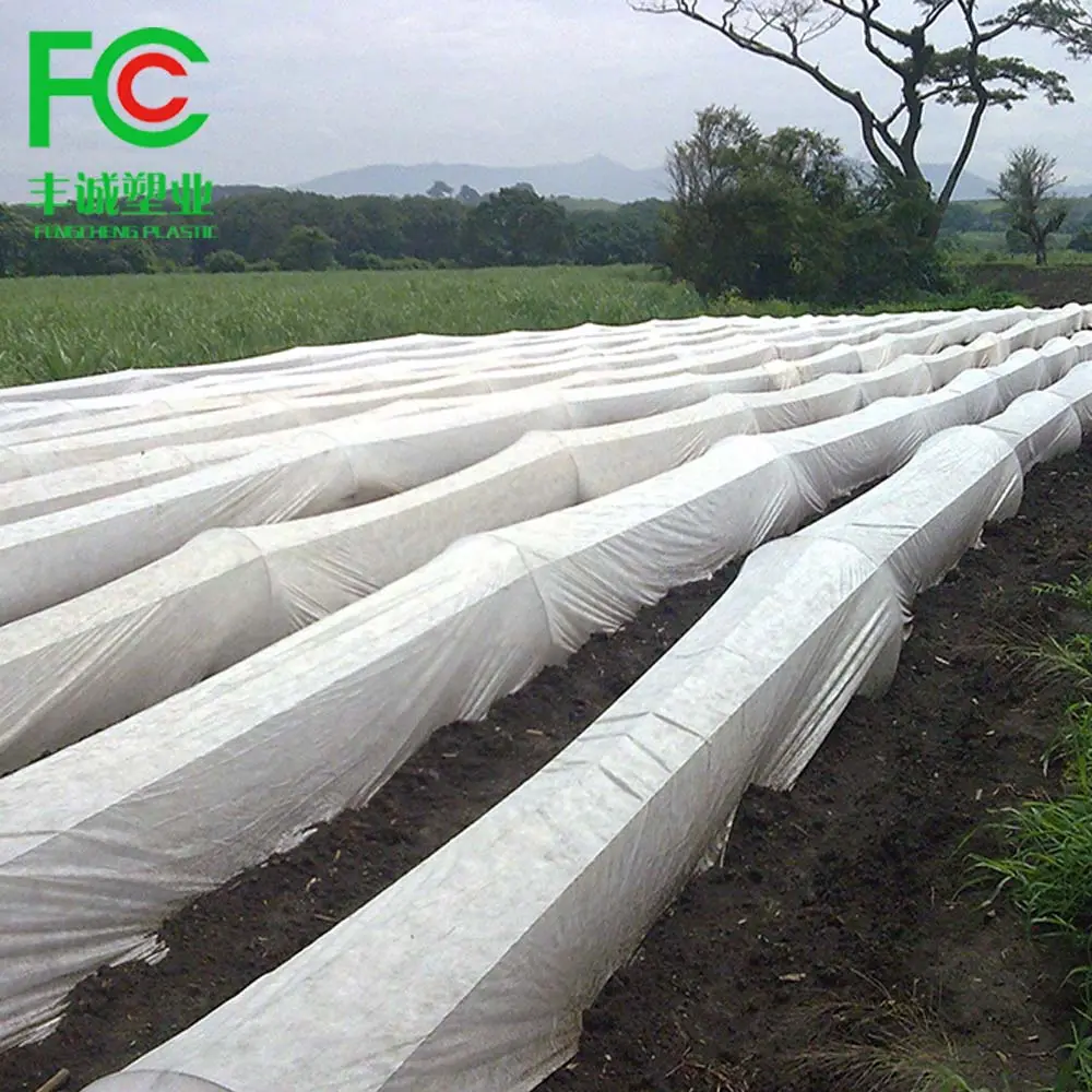 Agricoltura pp tessuto non tessuto 30gsm 50gsm spunbond tessuto Crop copre materiale panno rotoli di polipropilene