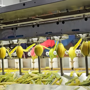 Exportador de Mango Seco de Vietnam ofrece precios bajos para pedidos al por mayor de gran volumen - Product Image 1