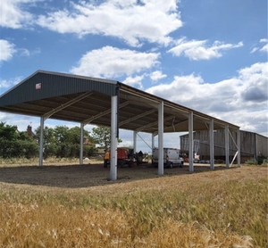 <span class=keywords><strong>10000</strong></span> ㎡   Edificio para Ganado de Gran Envergadura, Estructura de Acero, Establos para Cerdos, Vacas, Ovejas, Cabras, Granjas Avícolas - Product Image 5