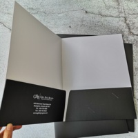 Carpeta de Archivo A4 Personalizada al por Mayor con Bolsillo, Papel Offset, Logotipo, Presentación 4c+4c CMYK para Proceso de 4 Colores (CMYK)