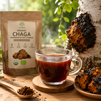 Puur Chaga-paddenstoelenextractpoeder Inonotus Obliquus supplement voor immuunondersteuning, voedingskwaliteit, vloeibaar-vaste extractie, bulk