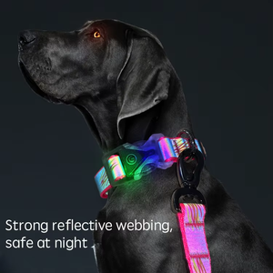 Aksesoris Anjing UFBemo, Set Kalung dan Tali Anjing LED Bercahaya dengan Lampu untuk Anjing - Product Image 2