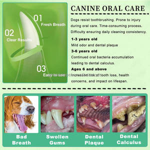 Poudre Nettoyante pour Dents de Chien – Soin d'Hygiène Buccale – Réduit la Plaque Dentaire – Prévient le Tartre – Haleine Fraîche – Complément Alimentaire pour Soins Dentaires des Animaux – 100g - Product Image 5