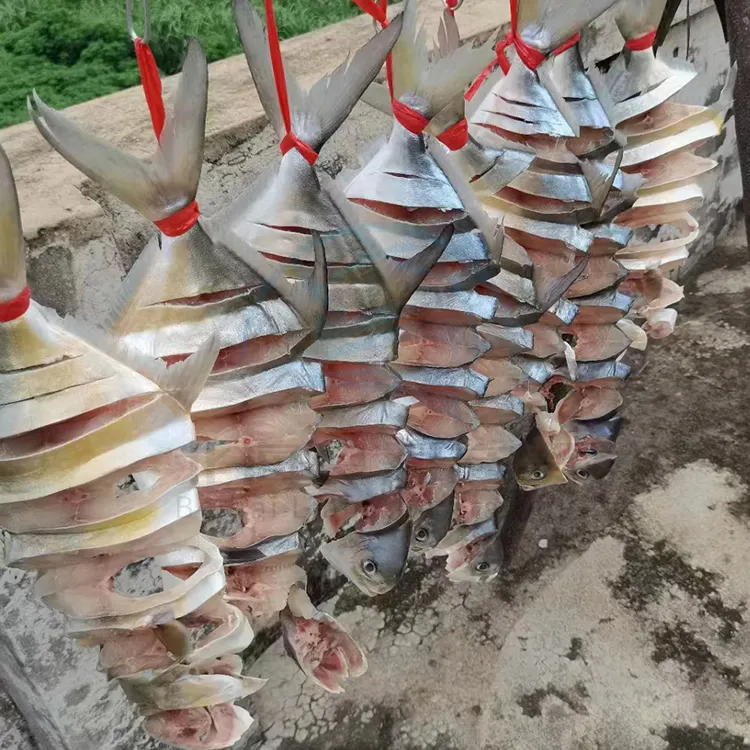 Çin deniz ürünleri düşük fiyat toptan kaliteli altın pomfret dondurulmuş taze balık kurutulmuş altın pomfret