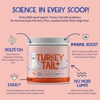 Poudre de champignon Turkey Tail probiotique pour la santé intestinale et le renforcement immunitaire en pot pour les humains