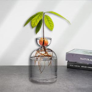 Hot Sale Flower Vases Avocado Tree <strong>Growing</strong> <strong>Kit</strong> Flower Pot Glass Bulb Vase for Home Table Desk Indoor Decor - Product Image 1