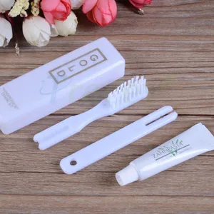 Il viaggio dal Design personalizzato usa lo spazzolino pieghevole portatile pieghevole in plastica
