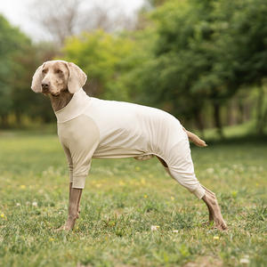 Ropa de refrigeración ajustable de verano para mascotas, chaqueta de refrigeración transpirable para perros con evaporación de paquetes de hielo - Product Image 3