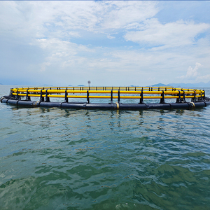 Jaula de Pesca Flotante de HDPE, Jaula de Acuicultura en Alta Mar, Jaula de Cultivo de Tilapia en Lagos y Lista de Precios - Product Image 1