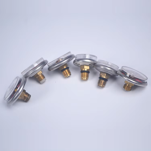 ตัววัดแรงดันของถังดับเพลิงชนิดผงแห้ง ขายจากโรงงาน - Product Image 5