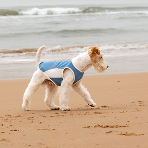 Ropa OEM ODM para perros, camiseta sin mangas, chaleco para mascotas, ropa fresca, seda helada, verano, trajes de refrigeración personalizados, vendedores - Product Image 5