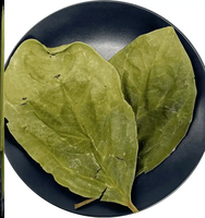 Feuilles de Kaki (Shi Ye Kaki Folium Persimmon Leaf) – Matériaux Herbacés Chinois de Haute Qualité – Produits Alimentaires Sains – Feuilles Séchées – Épices pour Régime