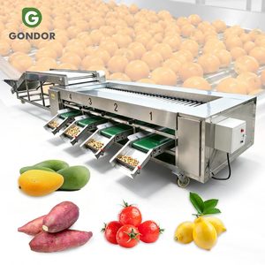 Máquina de clasificación y calibración de frutas (cítricos, tomate, nuez, manzana, mangostán) por tamaño, para lavado y encerado, con sistema de línea de producción. - Product Image 1