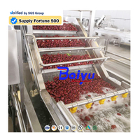 Baiyu 304 RVS Fruit- en Groentebellenwasmachine voor Industriële Toepassingen