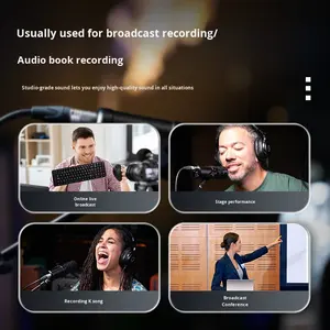 ICON Dynamic 7B XLR מיקרופון מקצועי להקלטה, שידור, בלוגים והקלטות אודיו - Product Image 4