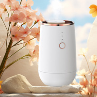 Atomiseur électrique de luxe Diffuseur USB Home Aromathérapie Anhydre Diffuseur d'huiles essentielles pures Mini diffuseur d'aromathérapie YS