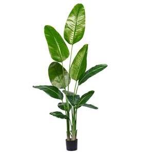 Vente <span class=keywords><strong>en</strong></span> Gros de Luxe Artificielle Simulation <span class=keywords><strong>en</strong></span> Direct Bonsaï <span class=keywords><strong>en</strong></span> <span class=keywords><strong>Pot</strong></span> Palmier du Voyageur Bananiers Intérieur Extérieur Maison Plastique Soie PE - Product Image 6