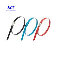 Attache de câble à revêtement époxy en acier inoxydable 316 Attaches de câble autobloquantes utilisées pour les machines, les câbles, les tuyaux ainsi que la reliure extérieure