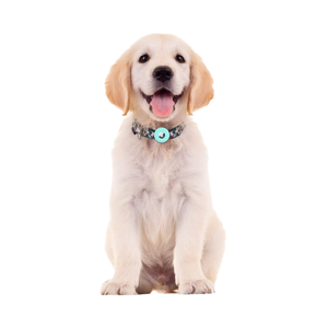 Estuche localizador antipérdida de estilo de dibujos animados, funda impermeable de silicona para <span class=keywords><strong>collar</strong></span> de etiqueta de aire para perros y gatos, collares para mascotas con bucle - Product Image 4