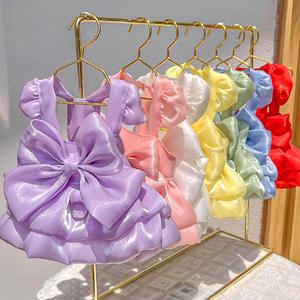 Qbellpet 2025 nouveauté été printemps animal de compagnie robe de mariée <span class=keywords><strong>chien</strong></span> princesse blanc dentelle et nœud jupe robes pour animaux de compagnie vêtements - Product Image 1