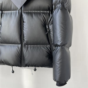 Manteau en duvet d'hiver pour hommes Veste en duvet à capuche légère Veste polaire imperméable sans couture à bulles pour hommes - Product Image 5