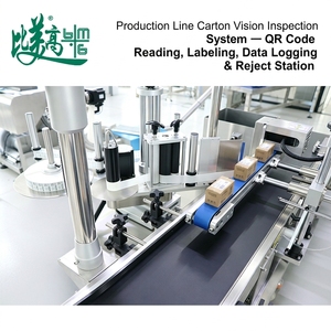 Système d'inspection visuelle des codes QR sur carton avec étiquetage automatique, collecte de données et station de rejet pour ligne de production - Product Image 2