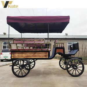 Carruaje Eléctrico de Turismo de Alta Gama para Recepción de Hoteles y Villas - Product Image 4