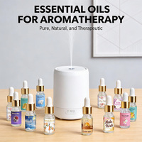 Diffuseur d'huiles essentielles, huile aromatique en gros, huile d'aromathérapie pour diffuseur d'huiles essentielles sans eau, huile de parfum en gros