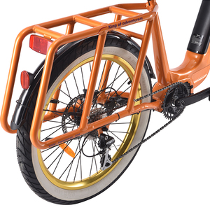 Vélo électrique urbain familial 24x3.0 City E-bike 48V Seat Packtrip Vintage Ebike Packtrip - Product Image 3
