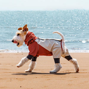 Impermeable Personalizable de Lujo para Primavera/Verano, Estilo Sólido, Resistente al Agua y al Viento, para Galgos, Golden Retrievers y Gatos Franceses - Product Image 1