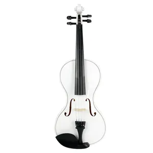 Violín Acústico 4/4 con Diseño <span class=keywords><strong>de</strong></span> Calabaza Blanca, Kit para Estudiantes con Arco <span class=keywords><strong>de</strong></span> Madera <span class=keywords><strong>de</strong></span> Brasil, Puente, Cuerdas y Estuche Protector - Product Image 1
