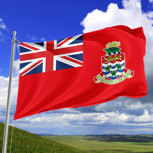 Produit promotionnel personnalisé drapeau d'affaires des îles Cayman 3x5 pieds bouton en cuivre métallique de haute qualité impression Double face - Product Image 2