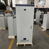 Armoire de distribution basse tension avec disjoncteurs, barres omnibus en cuivre, série XL-21, indice de protection IP55, construction en acier galvanisé, utilisation en intérieur