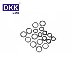 DKK Junta tórica de goma de nitrilo de alta temperatura Anillo de sellado de goma de flúor para bomba electromagnética Respetuoso con el medio ambiente - Product Image 4