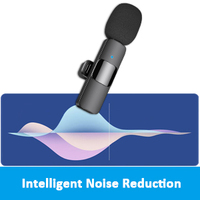 Microphone d'enregistrement à condensateur USB professionnel avec pince sans fil à piles Lavalier Lapel Mic Type C Connecteur