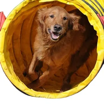 Tunnel del cane del condotto dell'aria di buona qualità, tunnel del cane di vendita calda per il gioco di addestramento